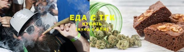 шишки Гусиноозёрск