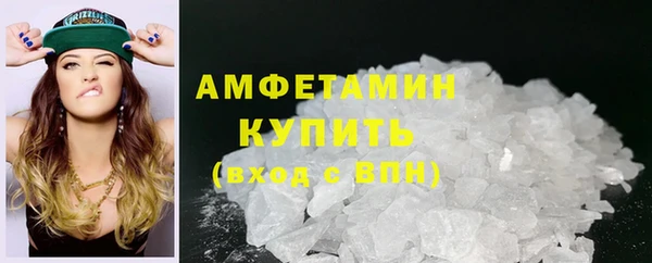шишки Гусиноозёрск