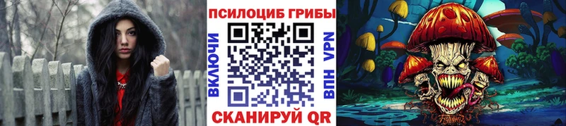 Галлюциногенные грибы прущие грибы Мамадыш