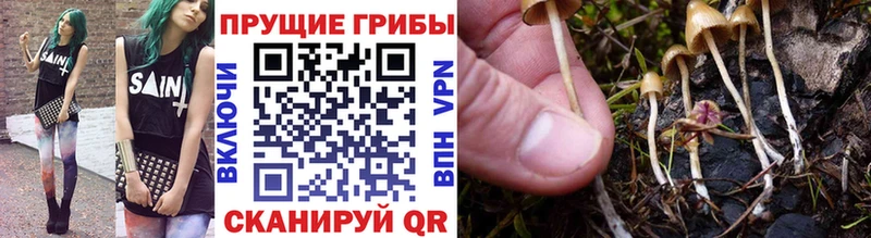 Купить закладки  Мамадыш  Псилоцибиновые грибы мухоморы 